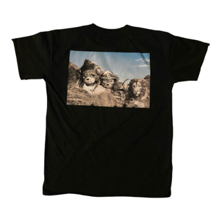 Collectve 2020 | The Collectve