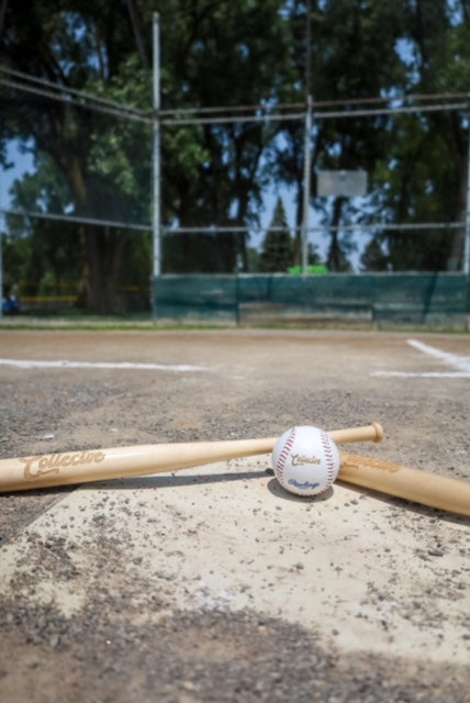 Baseball & Baseball Bat